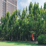 �����＾�h(hu��n)���õ�3��3�Ќ�(zhu��n)�l(w��i)У������(du��)��